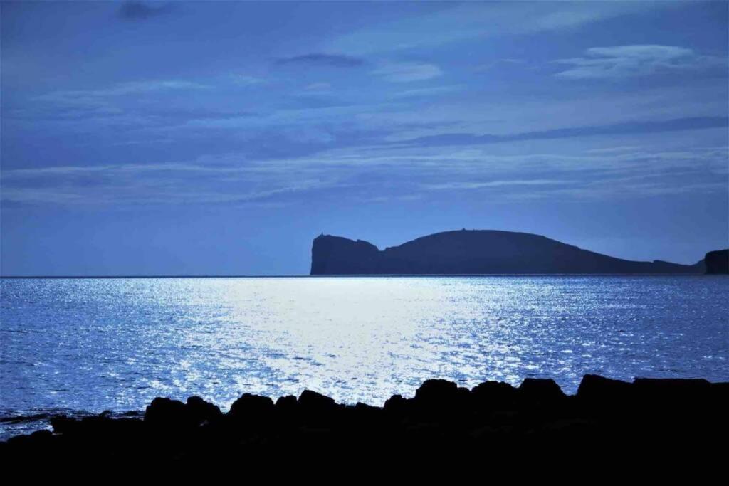 Alghero Sun & Sea - Spiaggia A 50 Metri Eksteriør billede