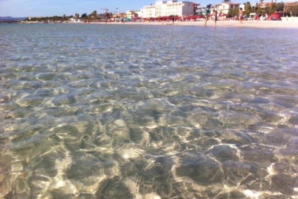 Alghero Sun & Sea - Spiaggia A 50 Metri Eksteriør billede