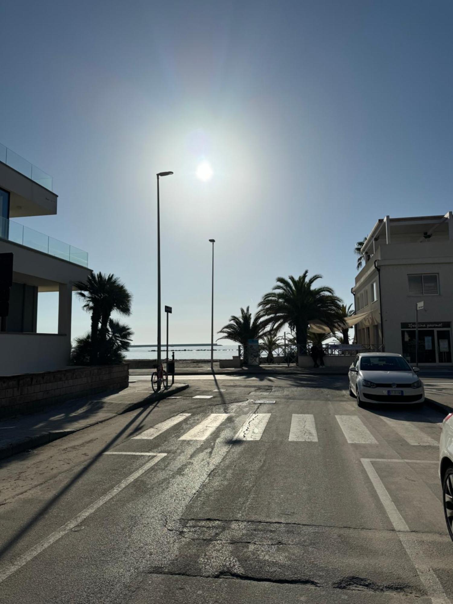 Alghero Sun & Sea - Spiaggia A 50 Metri Eksteriør billede